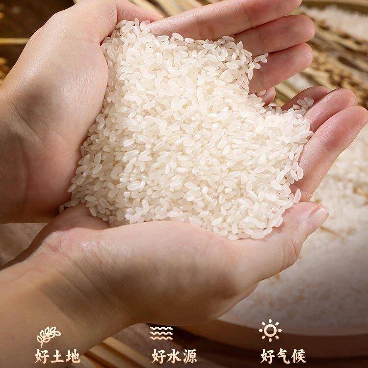 【限时】米越香东北长粒香5kg