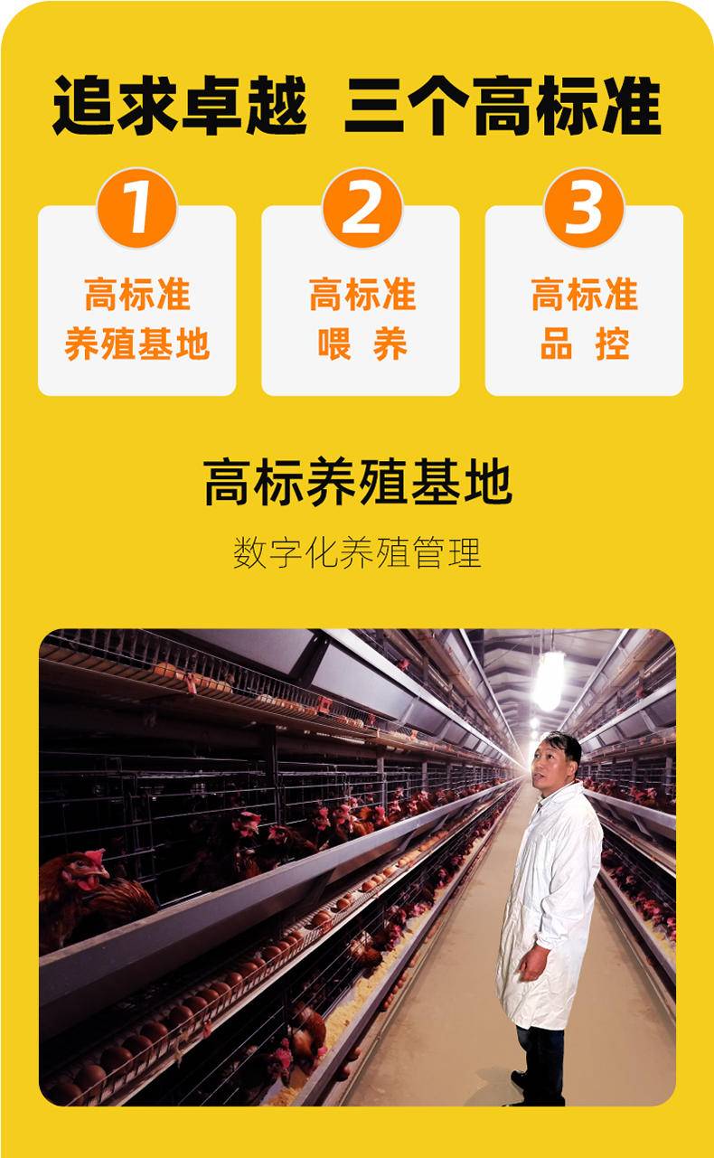 信得幸福农场 可生食鲜鸡蛋 营养无菌无抗蛋 叶黄素&硒 均重60g/枚