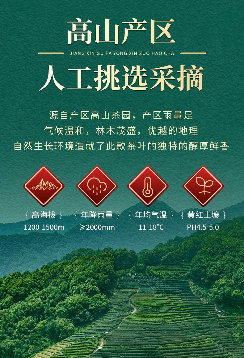 【年货节】茶洒人间茉莉花茶袋装 150克