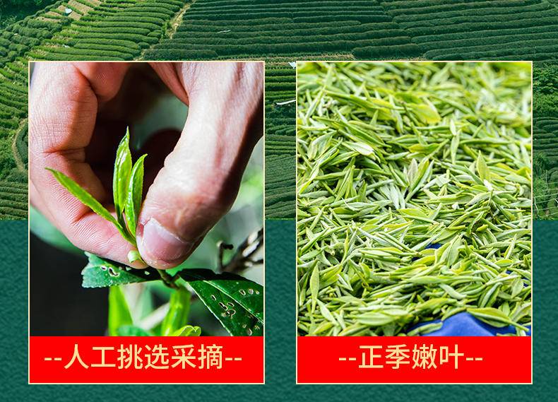 【年货节】茶洒人间茉莉花茶袋装 150克