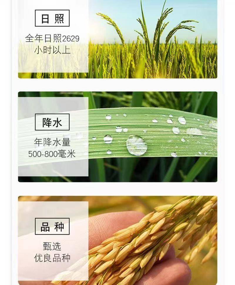 【集采】东北长粒香1kg*25包