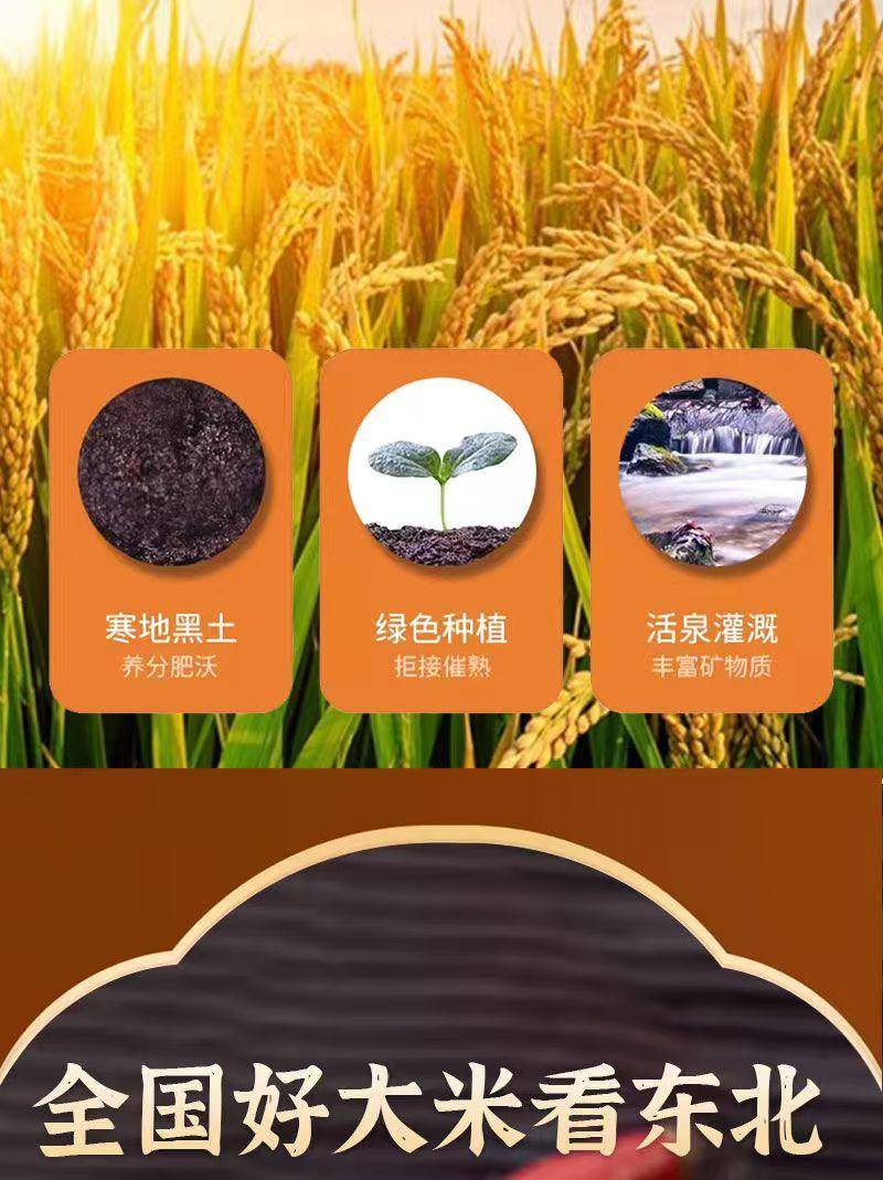 【集采】东北珍珠米1kg*25包