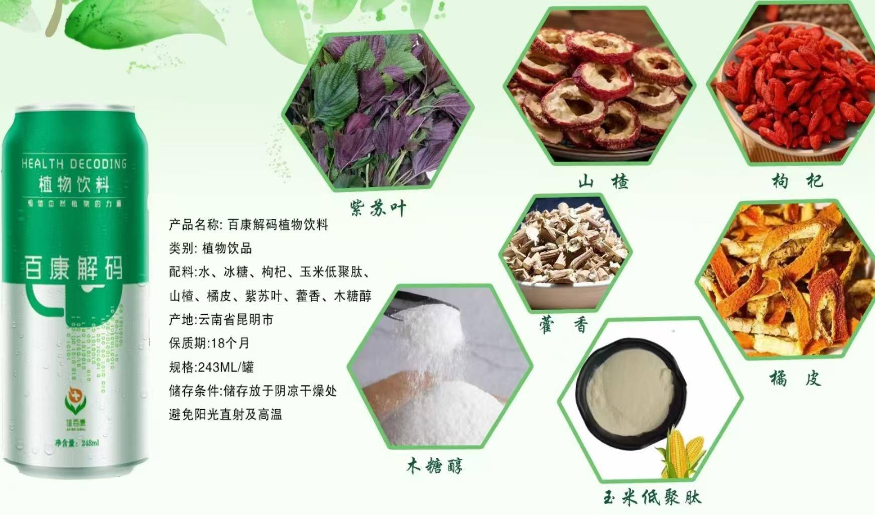 【秒杀】百康解码植物饮品10罐/箱（243ml/罐）