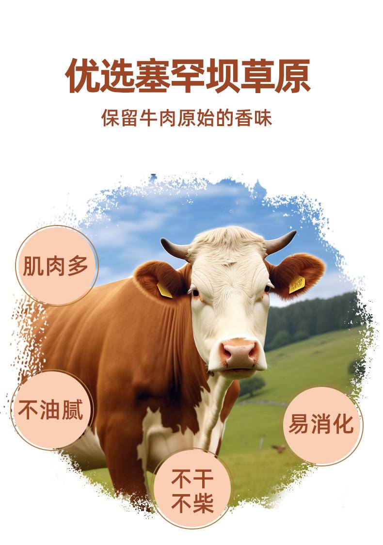 德小倍手撕牛肉香辣200g