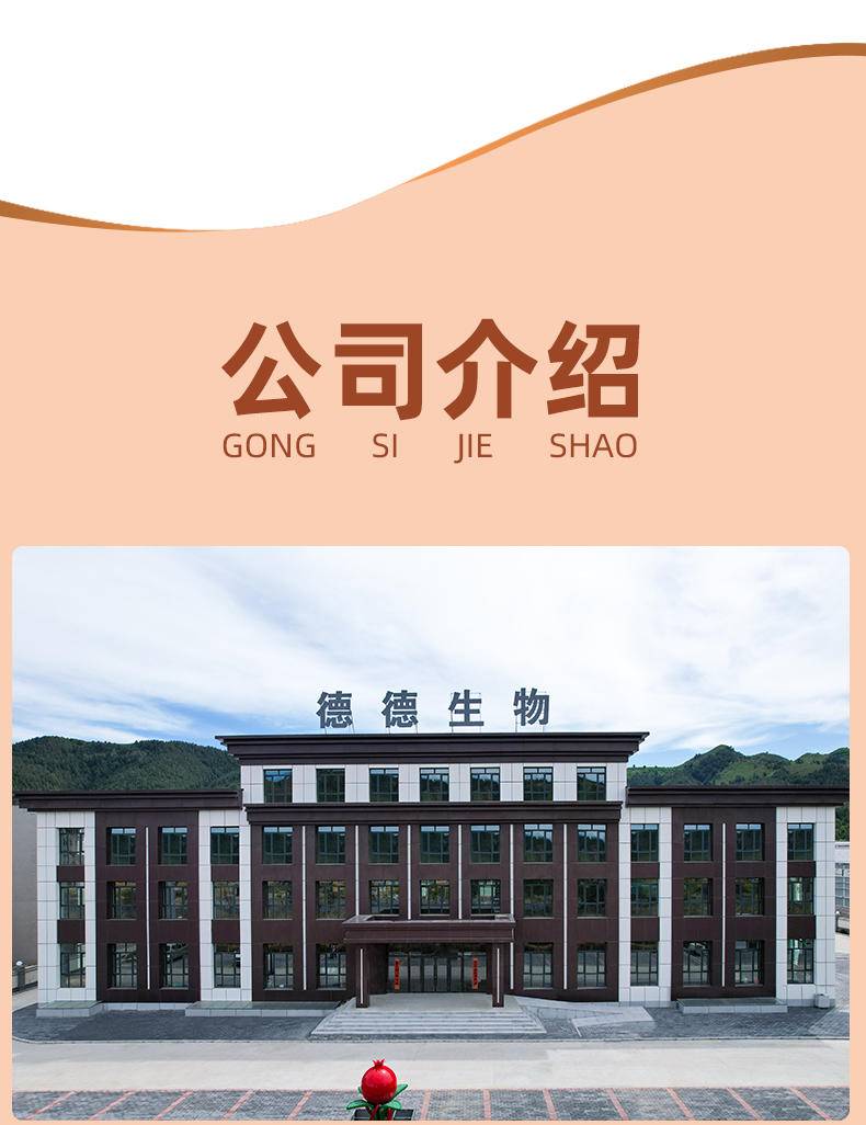 德小倍手撕牛肉香辣200g