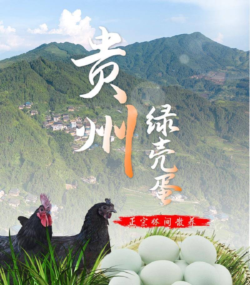 【下架缺货】【集采】黔三里有机绿壳鸡蛋30枚*10份