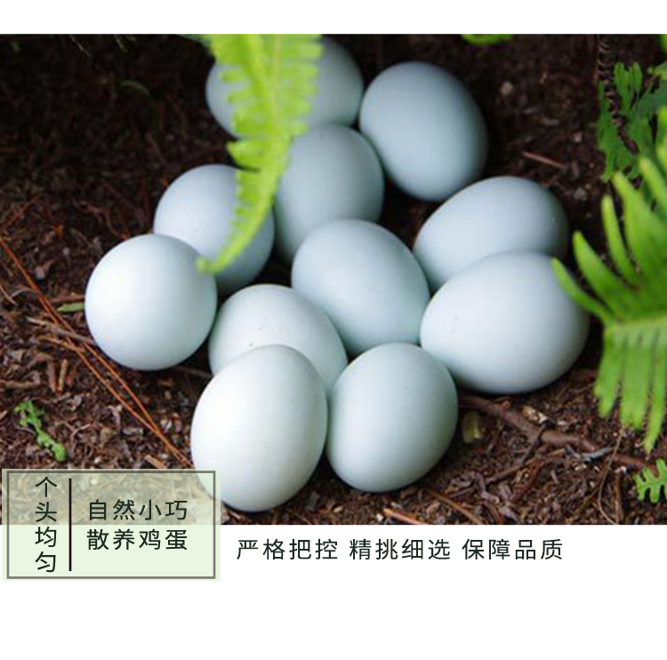 【下架缺货】【集采】黔三里有机绿壳鸡蛋30枚*10份