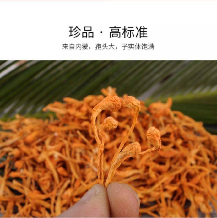 闽宏堂蛹虫草60g*2