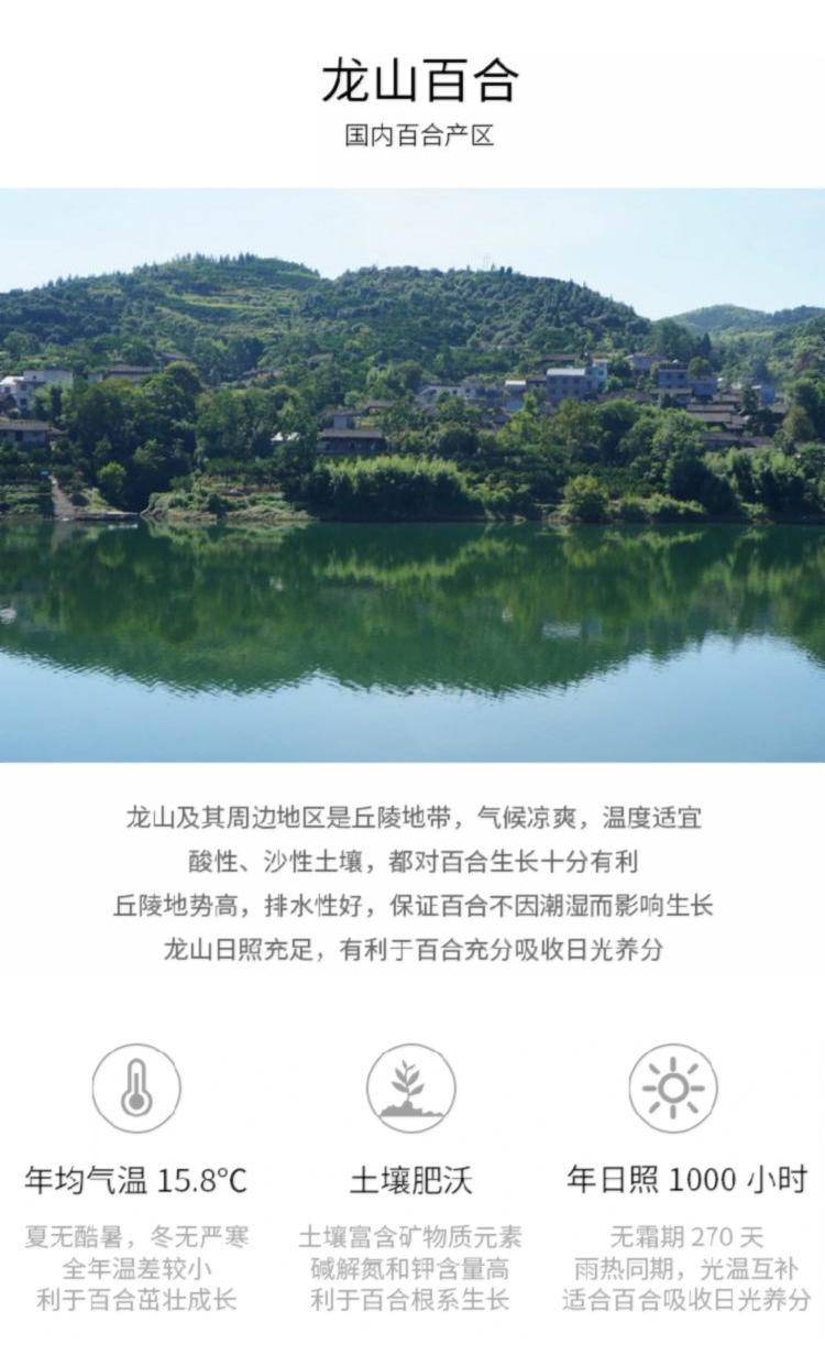 【集采】闽宏堂百合干158g*20
