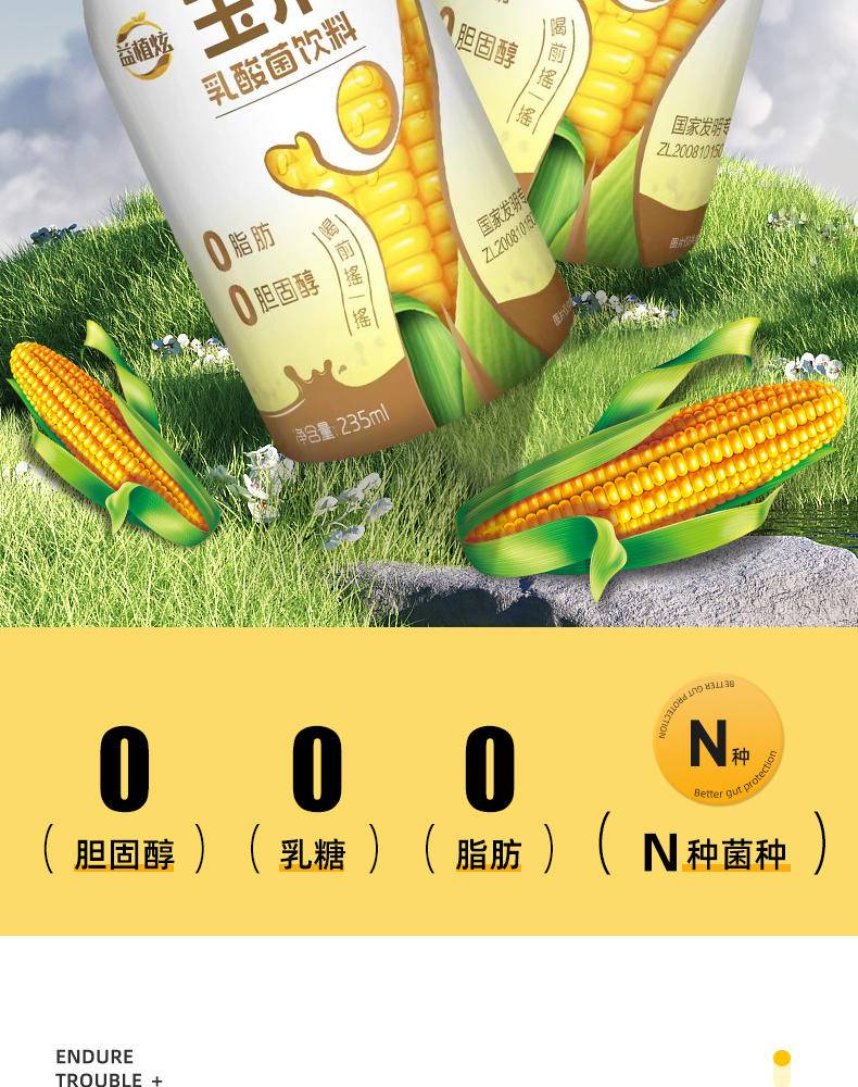 【集采】益植炫植物蛋白饮料玉米乳酸菌饮料6瓶*600箱