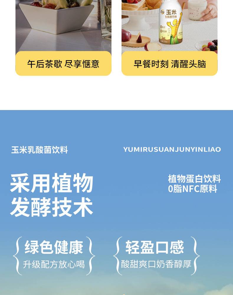 【集采】益植炫植物蛋白饮料玉米乳酸菌饮料6瓶*600箱