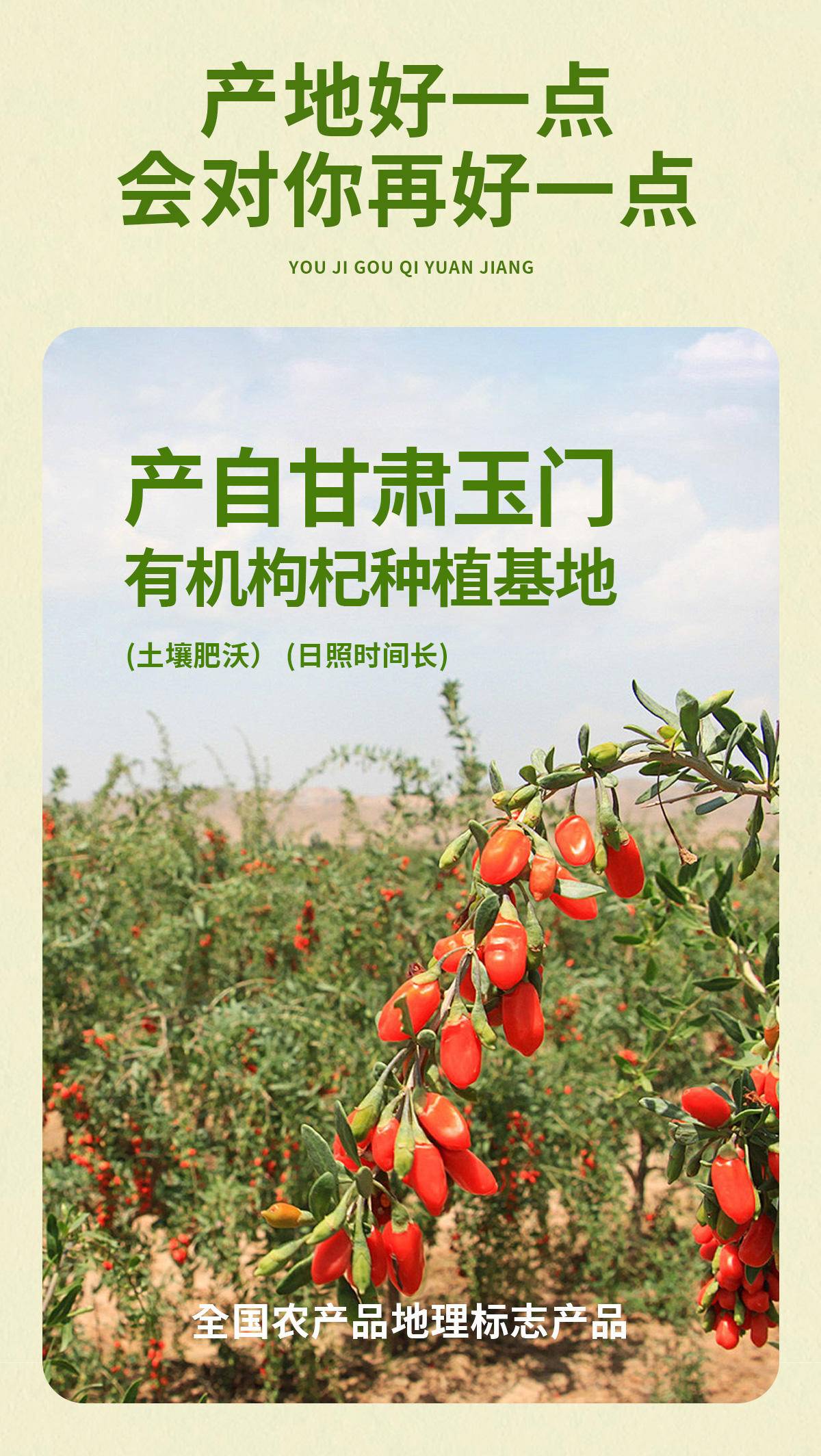 【集采】锦恩记有机枸杞原浆绿色有机食品认证送长辈礼品礼物营养品8袋*36盒（按整件出）