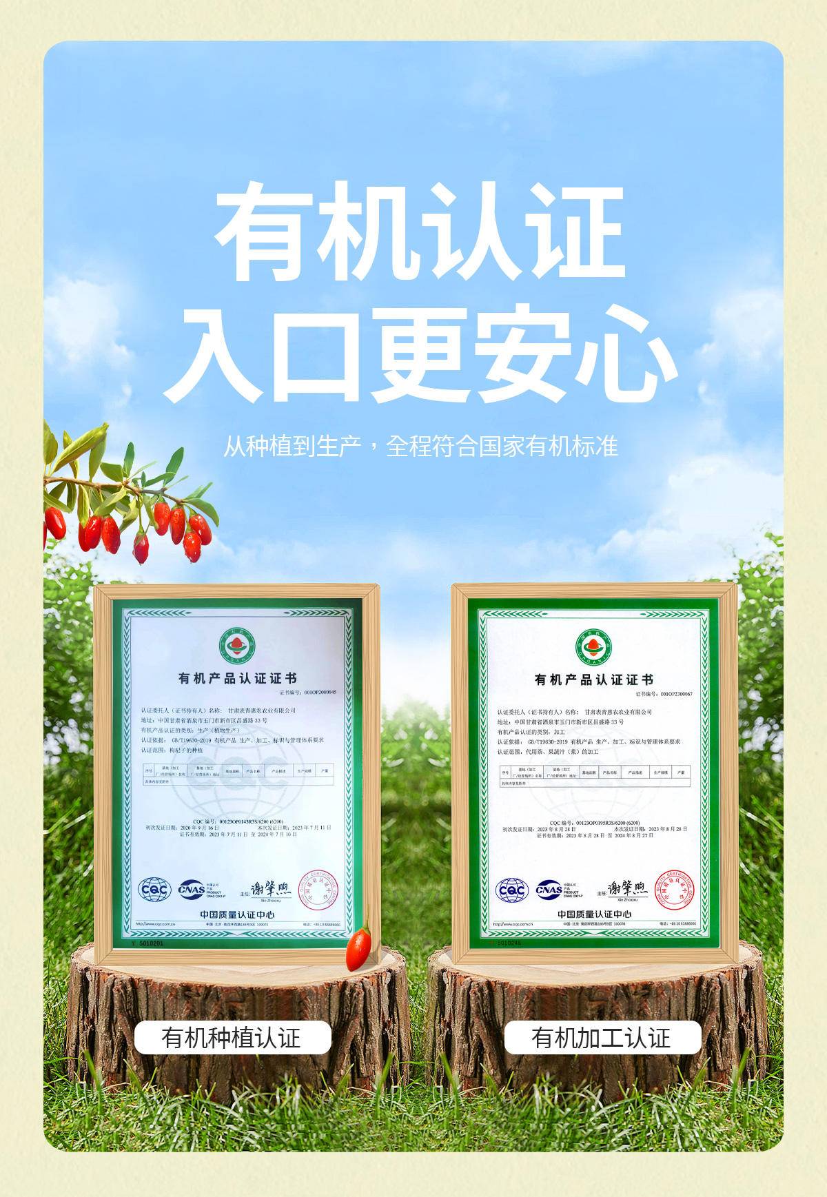 【集采】锦恩记有机枸杞原浆绿色有机食品认证送长辈礼品礼物营养品8袋*36盒（按整件出）