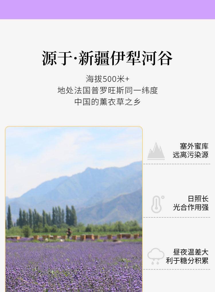 【集采】田娃娃成熟薰衣草蜜礼盒（250g或250g*2瓶），单瓶装45盒/件，双瓶装14盒/件