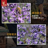 【集采】田娃娃成熟薰衣草蜜礼盒（250g或250g*2瓶），单瓶装45盒/件，双瓶装14盒/件