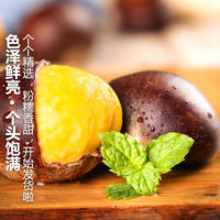 【秒杀】鲜妙芙新鲜丹东板栗 1斤