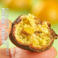 【秒杀】鲜妙芙新鲜丹东板栗 1斤