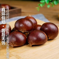 【秒杀】鲜妙芙新鲜丹东板栗 1斤
