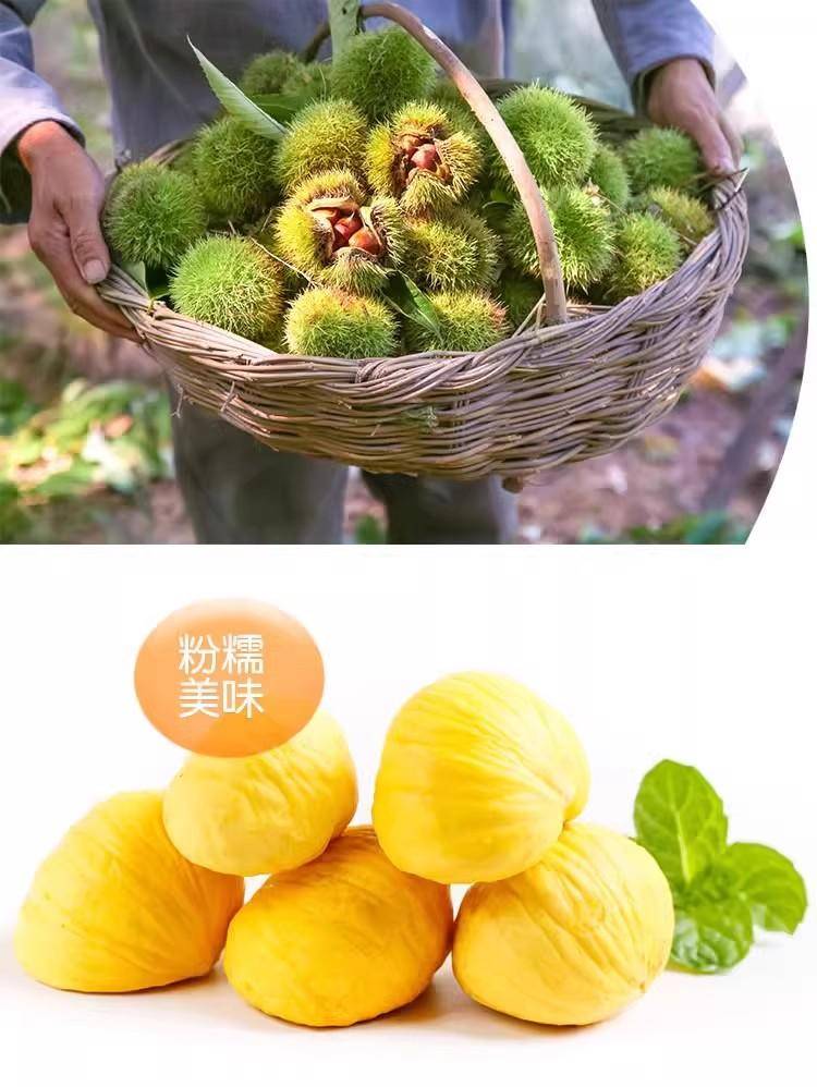 【秒杀】鲜妙芙新鲜丹东板栗 1斤