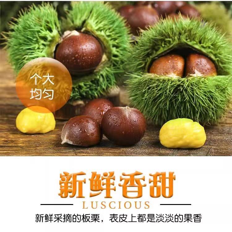 【秒杀】鲜妙芙新鲜丹东板栗 1斤
