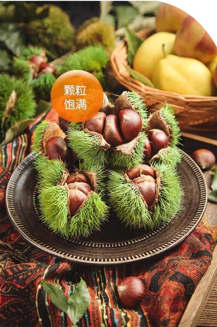 【秒杀】鲜妙芙新鲜丹东板栗 1斤