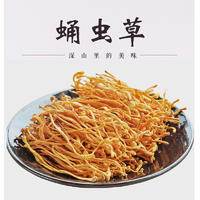 闽宏堂蛹虫草60g*2
