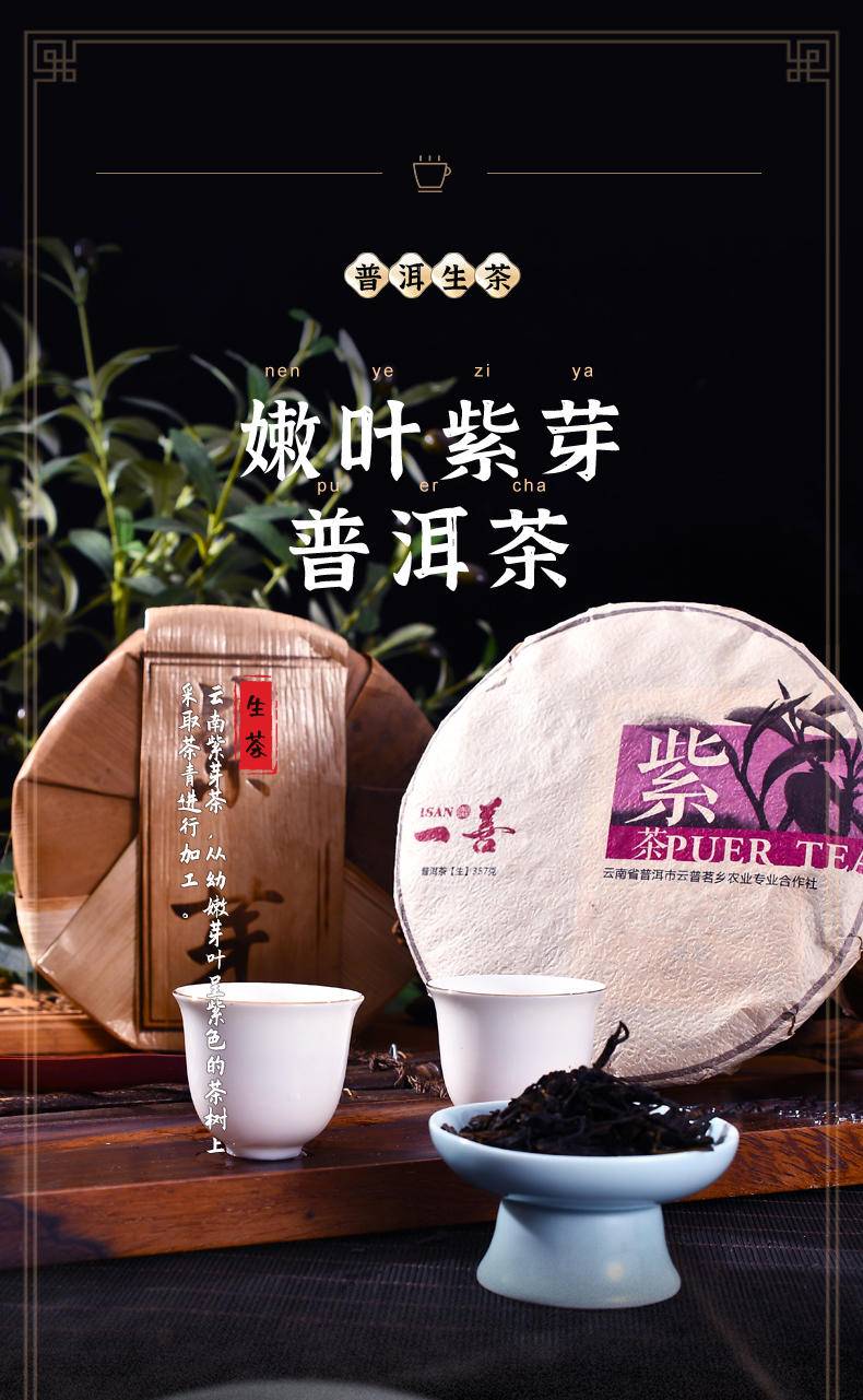 紫芽普洱茶357g（生茶）