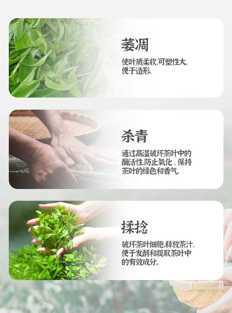 紫芽普洱茶357g（生茶）