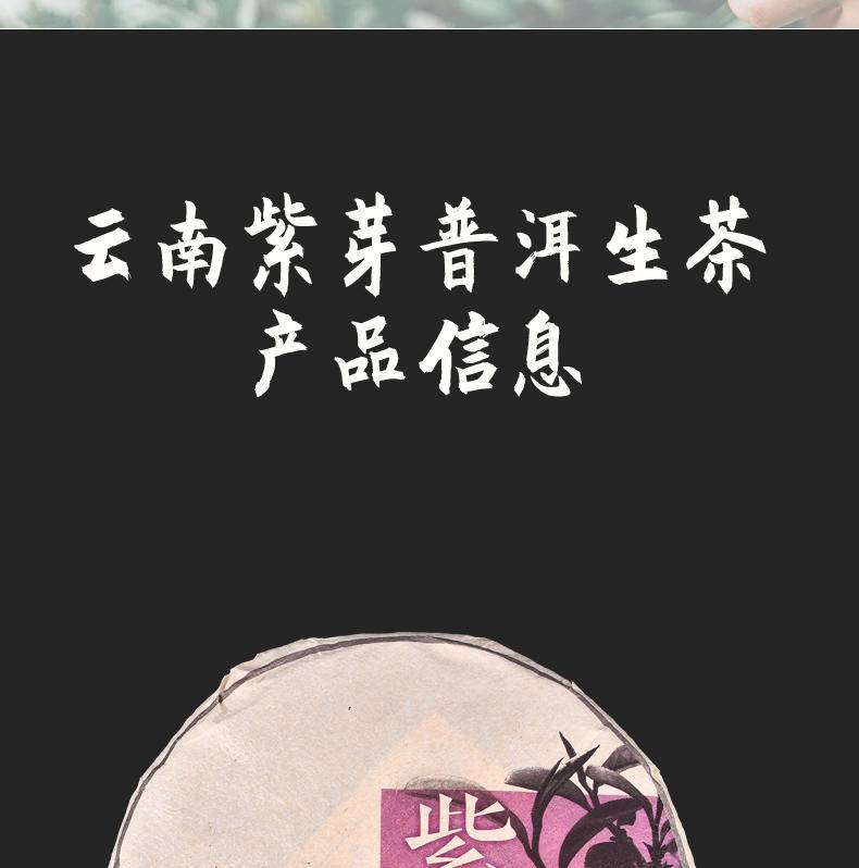 紫芽普洱茶357g（生茶）