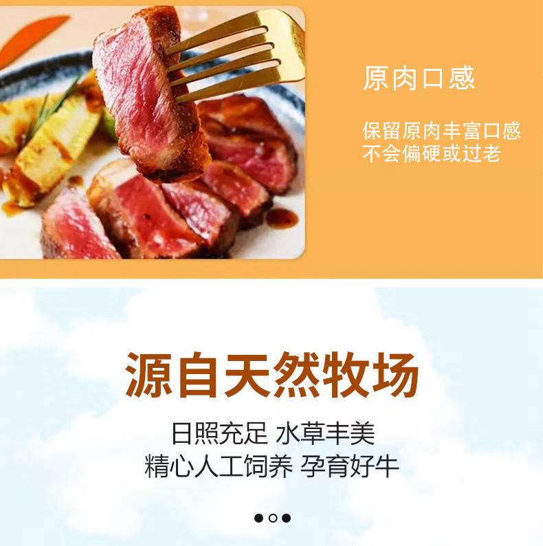 集肴 牛肉套餐系列 西冷5份*100g+菲力5份*100g+眼肉5份*100g+刀叉1份+酱料15份+海盐15份