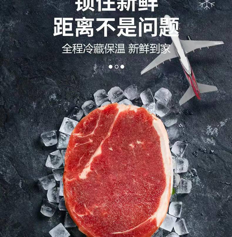 集肴 牛肉套餐系列 西冷5份*100g+菲力5份*100g+眼肉5份*100g+刀叉1份+酱料15份+海盐15份