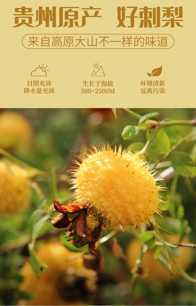 【集采】黔三里有机刺梨黄金液50ml*10袋*10盒-富含维生素C
