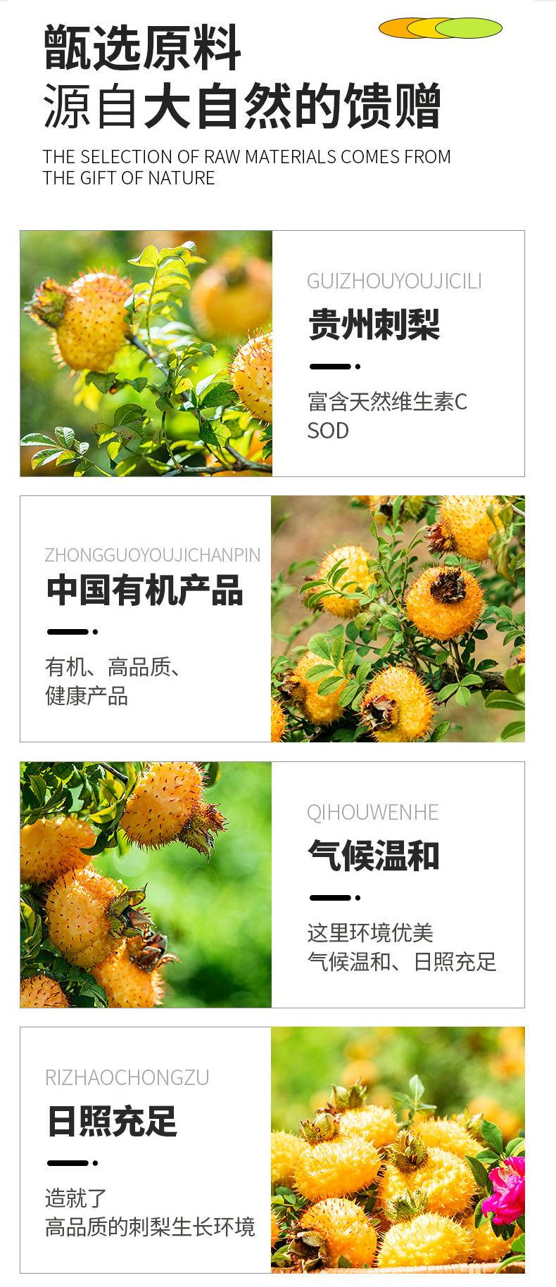 【集采】黔三里有机刺梨黄金液50ml*10袋*10盒-富含维生素C