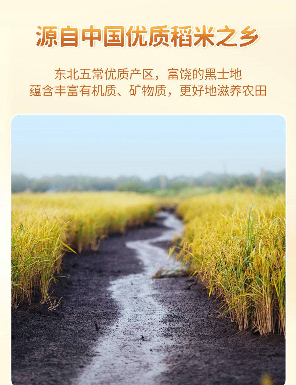 掌中禾五常大米生态稻花香米东北大米10斤/袋