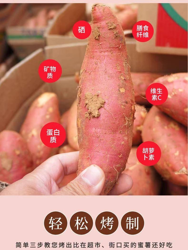 鲜妙芙 山东烟薯25号蜜薯
