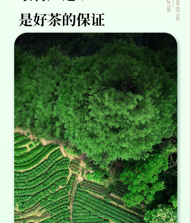 茶洒人间兰花香铁观音小罐装200克