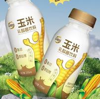 【集采】益植炫植物蛋白饮料玉米乳酸菌饮料6瓶*600箱