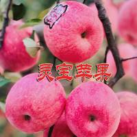 煜植禾灵宝寺河山红富士礼盒 10斤/箱