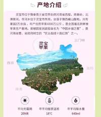 煜植禾灵宝寺河山红富士礼盒 10斤/箱