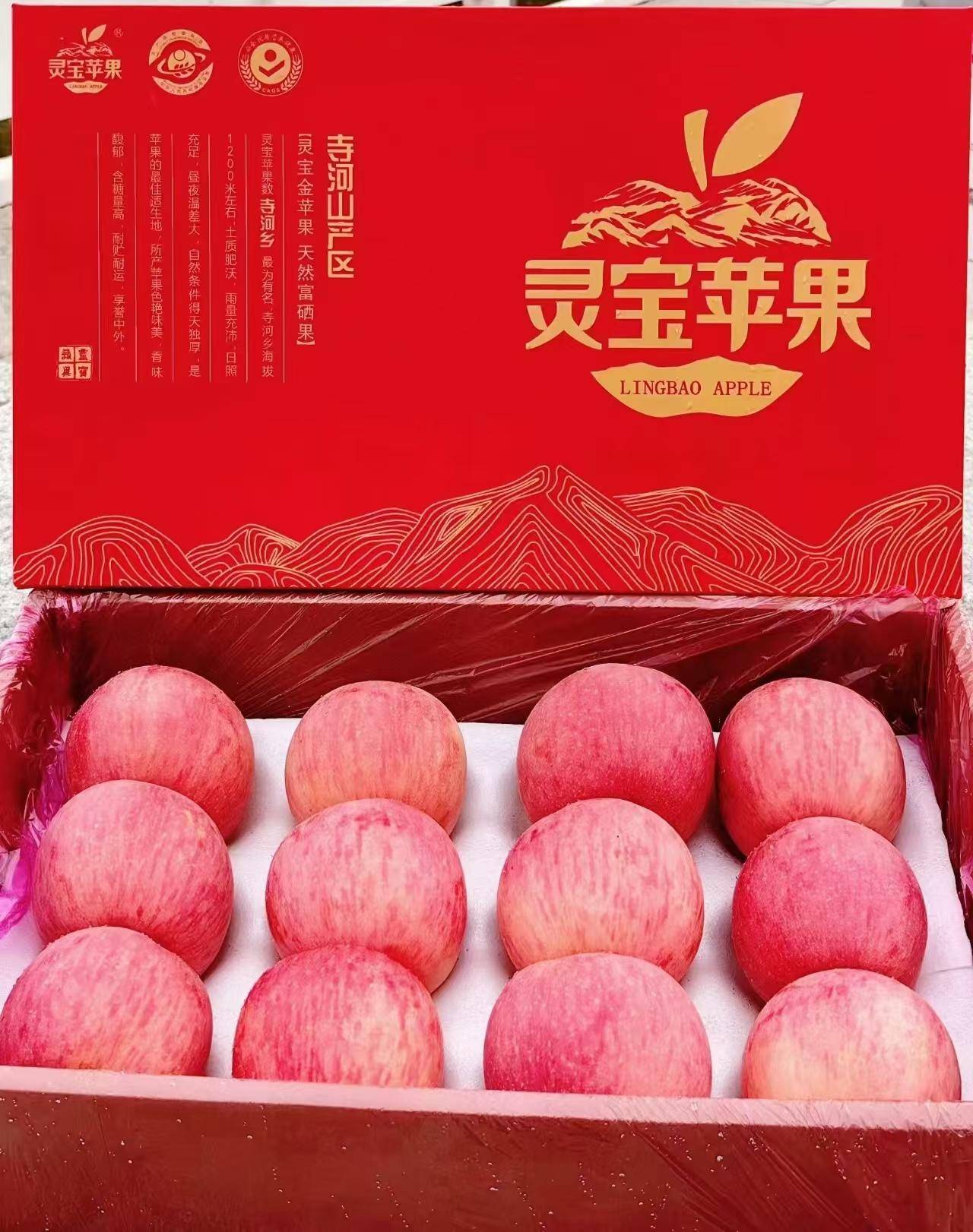 煜植禾灵宝寺河山红富士礼盒 10斤/箱