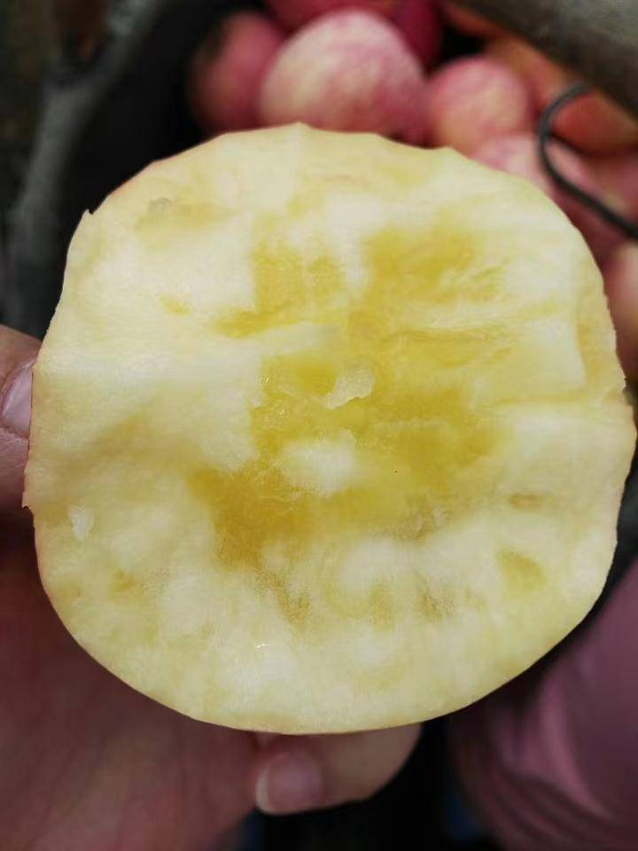 煜植禾灵宝寺河山红富士礼盒 10斤/箱