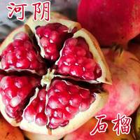 【秒杀】煜植禾正宗河阴软籽石榴新鲜采摘水果2斤/箱
