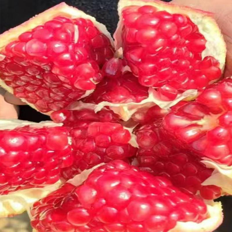 【秒杀】煜植禾正宗河阴软籽石榴新鲜采摘水果2斤/箱
