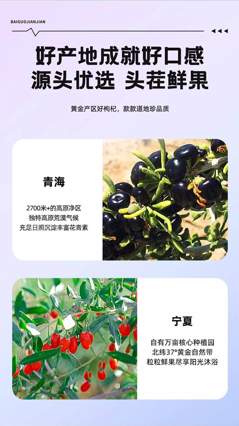 【集采】早红晚黑（枸杞原浆组合）营养加倍300ml*10盒