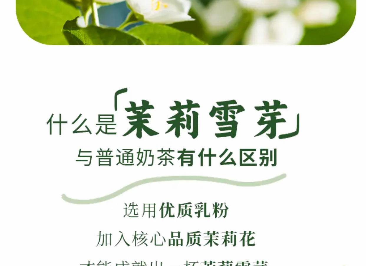 百果坚坚茉莉雪芽154g*4盒