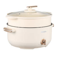 康佳液体加热器（电煮锅）KDHG-4006-M