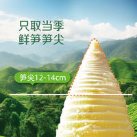 【限时】极野有机糯米笋尖200g*3包