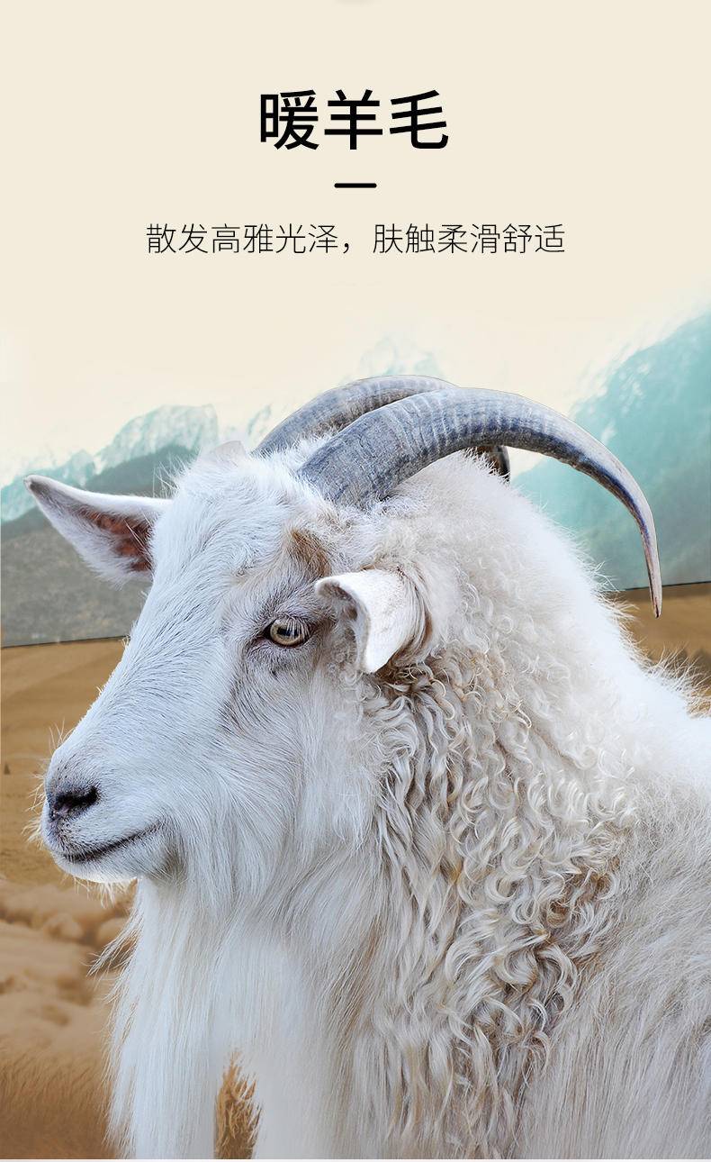 俞兆林 羊毛蚕丝加绒加厚情侣保暖套装280G ZX-YZL24B00020