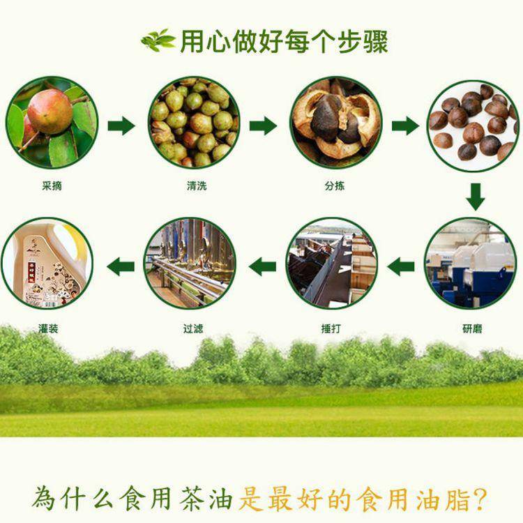 腾升茶籽富硒复合油5L