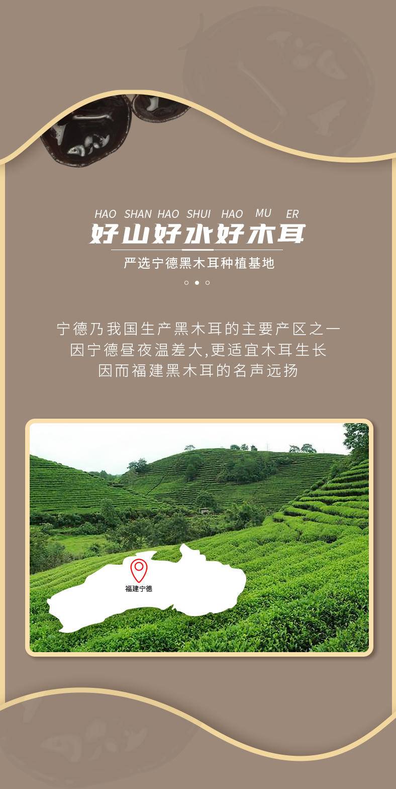 鲜珥家黑木耳250g*1袋